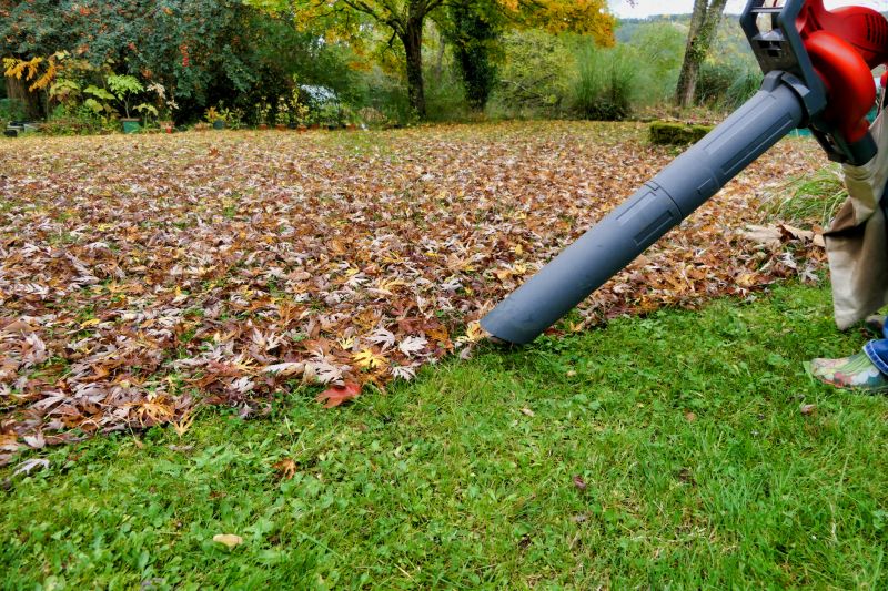Using Leaf Blowers Effectively