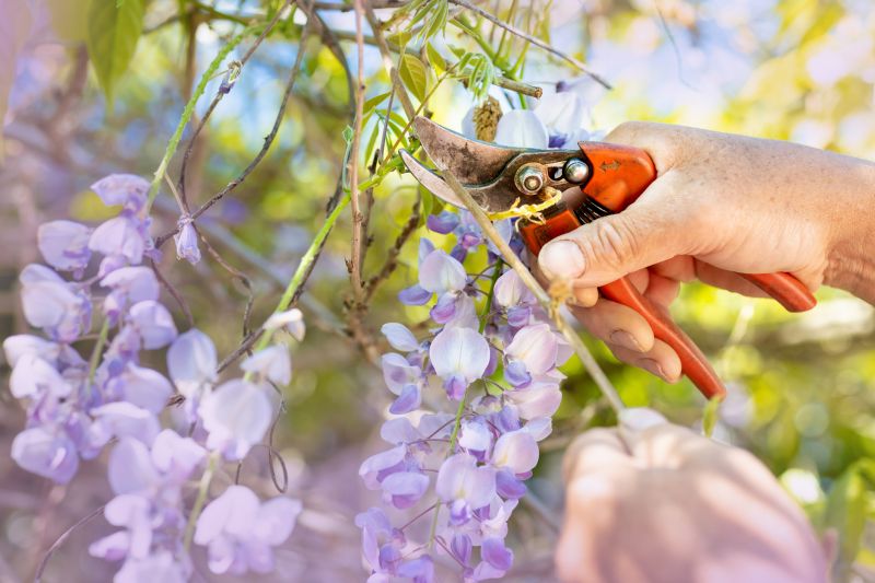 Pruning Tools in Use