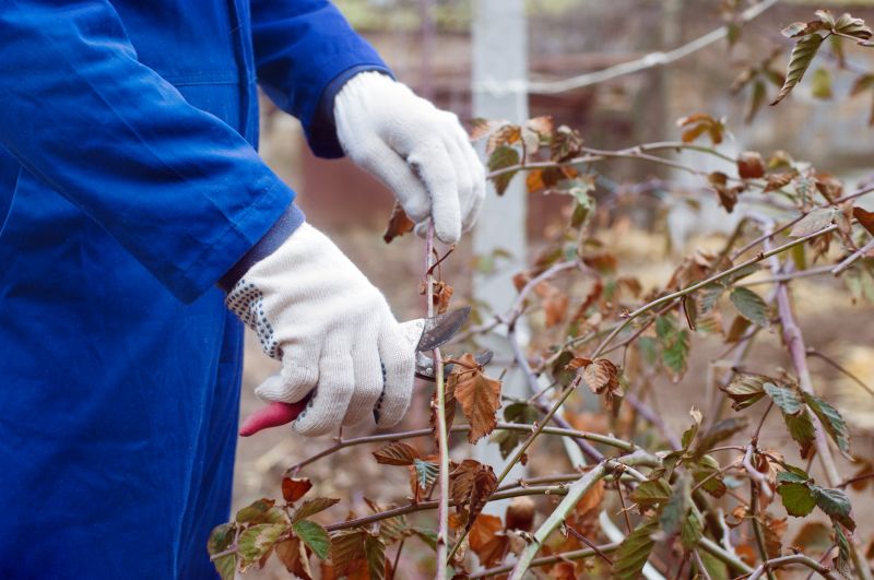 Pruning Technique