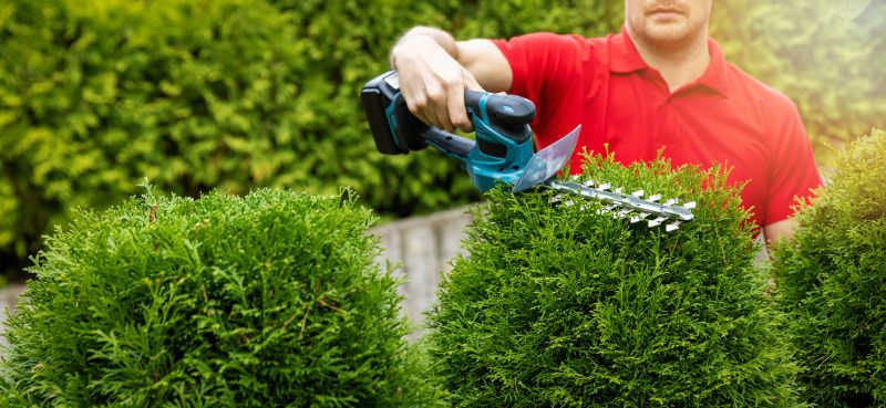 Hedge Removal Service in Rockwall, TX
