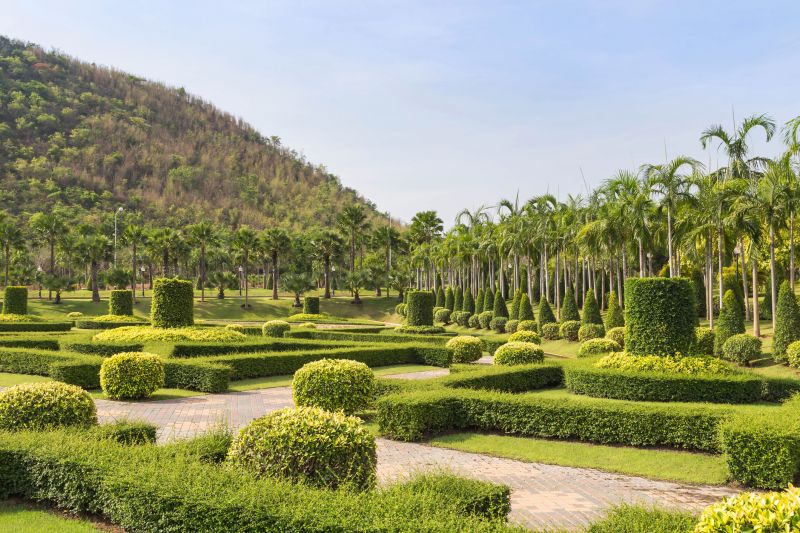 Trimmed Shrubs with Clear Shapes